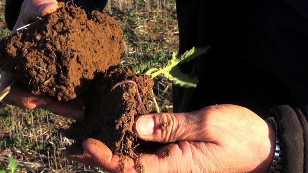 François Stuck et Sarah Singla espèrent présenter l’agriculture des sols au plus grand nombre. © I. L/GFA